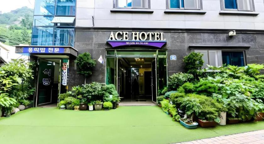 Ace Hotel Ulleungdo Extérieur photo